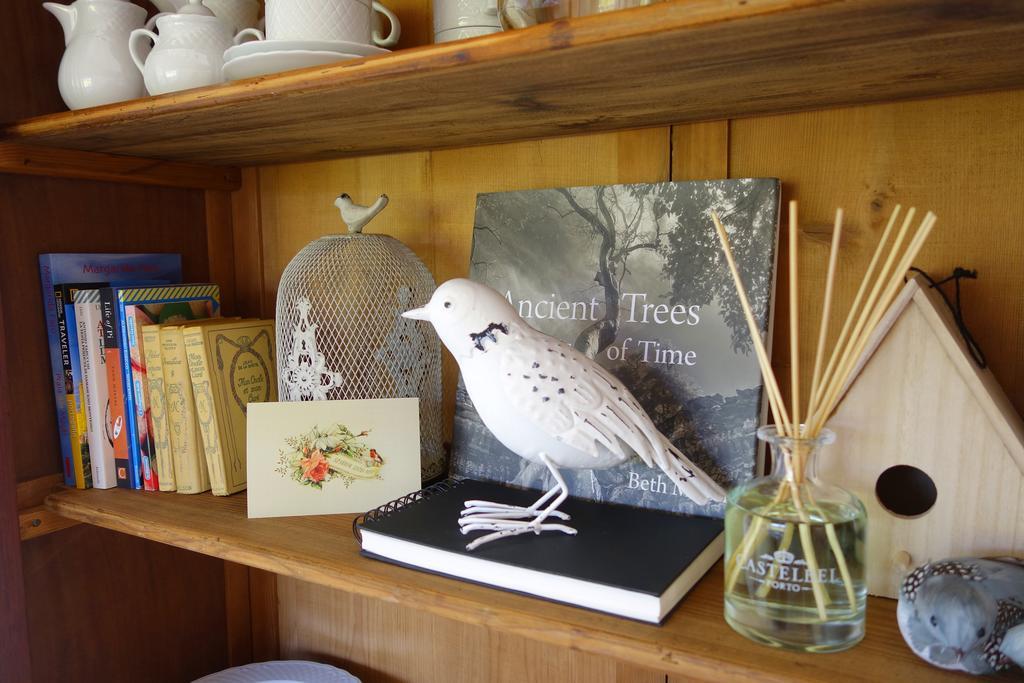 Sparrow Sintra Nest Zewnętrze zdjęcie